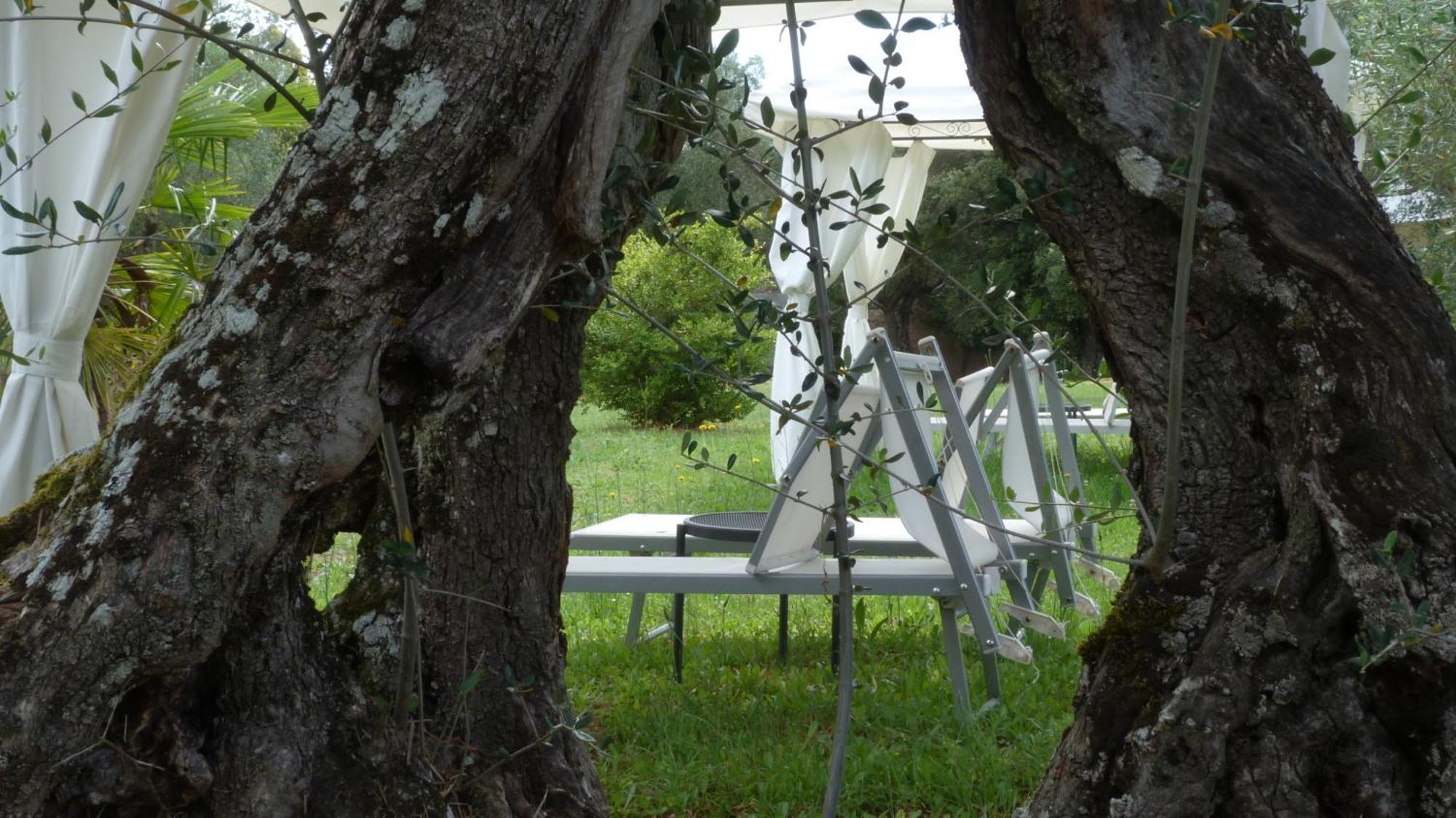 Torre A CastelloLa Casa D'Ambra别墅 外观 照片